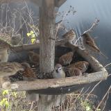 photo 2019-12-25 11-16-51