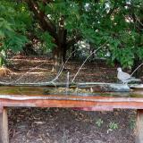 photo 2021-09-12 17-11-03