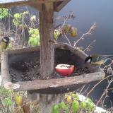 photo 2019-12-06 09-05-50