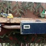 photo 2021-02-08 10-59-16