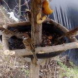 photo 2019-02-02 11-09-29