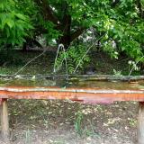 photo 2021-05-25 11-55-40