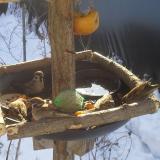 photo 2019-01-27 09-52-33