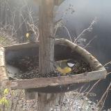 photo 2019-12-29 09-07-43