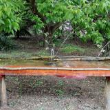 photo 2021-05-07 11-50-43