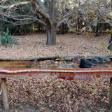 photo 2021-10-26 07-57-26