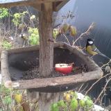 photo 2019-12-06 11-08-17