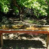 photo 2021-05-10 10-27-37