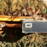 photo 2021-02-22 13-47-21