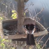 photo 2019-12-22 11-30-12