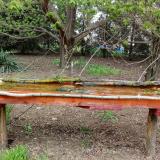 photo 2021-04-20 12-28-14