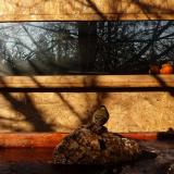 photo 2022-01-24 09-05-33