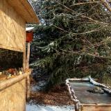 photo 2022-01-09 10-51-59