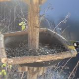 photo 2019-12-27 11-51-42