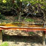 photo 2021-04-21 12-37-36