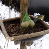 photo 2019-01-10 12-08-35