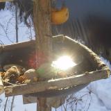 photo 2019-01-27 10-12-27