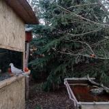 photo 2021-12-31 15-46-19