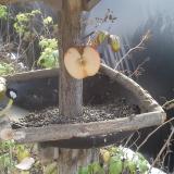 photo 2019-12-03 10-51-53