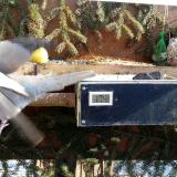 photo 2021-02-13 11-01-09