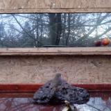 photo 2022-01-30 07-01-29