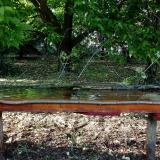 photo 2021-05-14 18-24-08