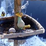 photo 2019-01-21 09-18-59