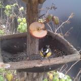 photo 2019-12-05 11-54-40