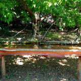 photo 2021-05-10 12-25-03