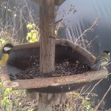 photo 2019-12-22 12-41-46