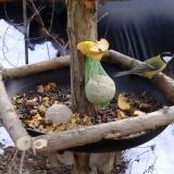 photo 2019-01-15 11-52-05