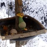 photo 2019-01-20 09-52-52