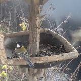 photo 2019-12-28 13-20-09