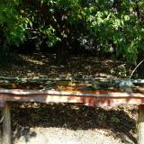 photo 2021-10-02 11-51-23