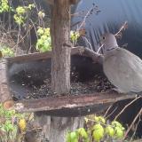 photo 2019-12-14 11-33-55