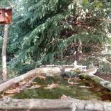 photo 2023-10-05 11-26-05