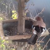 photo 2019-12-22 11-59-52