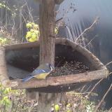 photo 2019-12-21 12-49-00