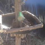 photo 2019-02-12 10-27-34