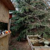 photo 2021-12-18 13-49-51