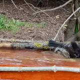 photo 2021-04-17 16-49-23 rigok