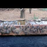 photo 2021-11-30 14-14-18