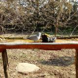 photo 2021-03-11 09-10-57