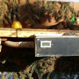 photo 2021-02-12 13-38-29