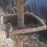 photo 2019-03-16 11-22-16