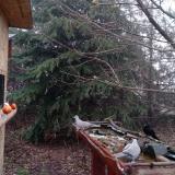 photo 2021-12-16 08-31-53