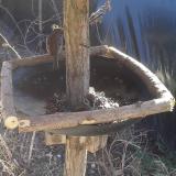 photo 2019-03-06 12-12-06