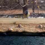 photo 2021-11-10 10-27-13