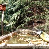 photo 2023-10-17 13-11-55