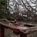 photo 2022-03-07 17-23-41